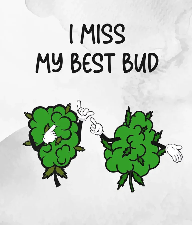 I Miss My Best Buds