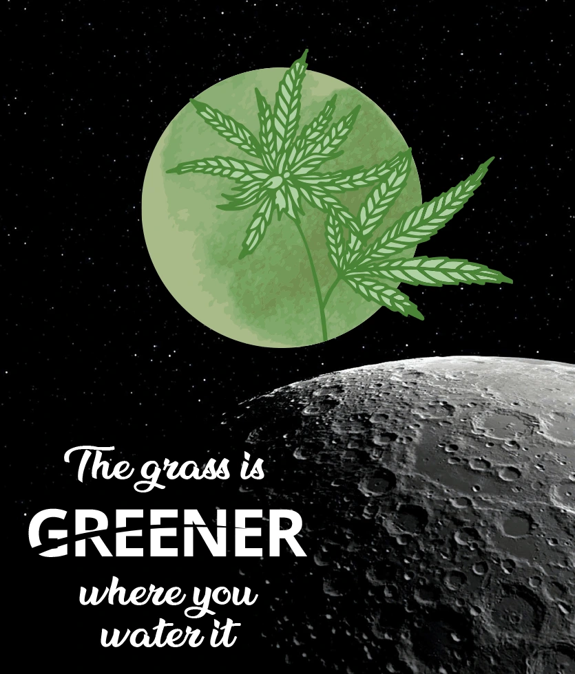 Marijuana leaf design with a text of the grass is greener where you water it