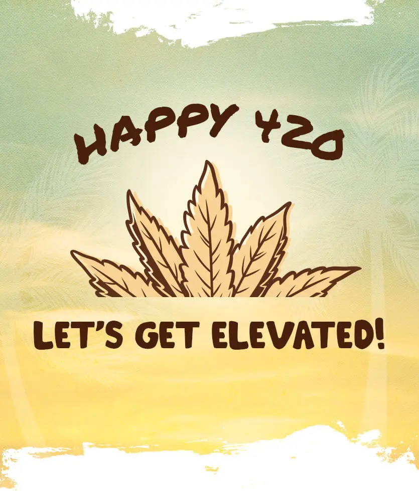 Let's get elevated