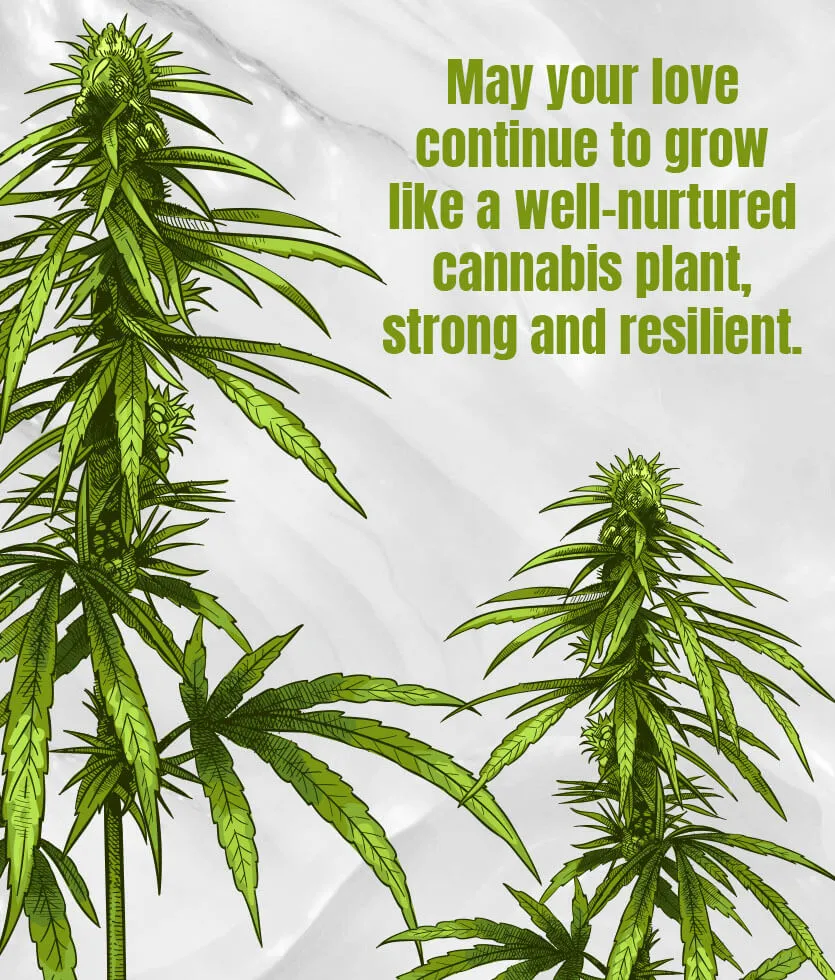 420 eCard - Wedding may your love continue to grow like a well - nurtured cannabis plant strong and resilient.