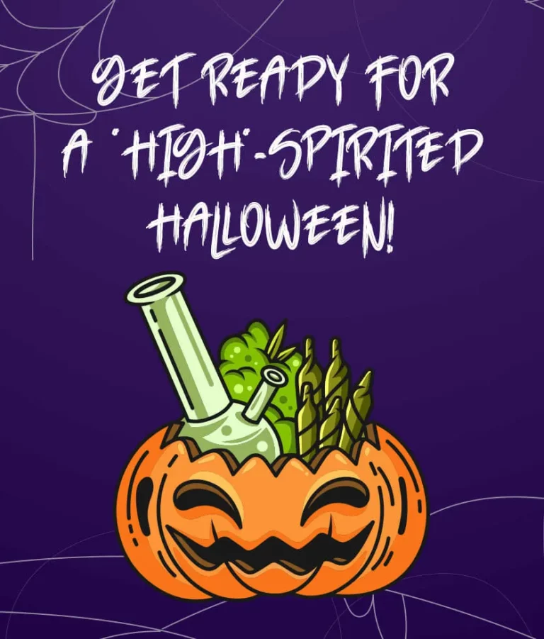 Get ready for a high-spirited halloween