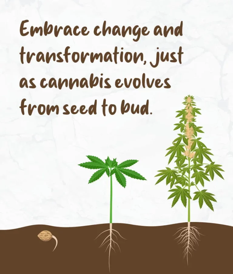 Embrace change and transformation