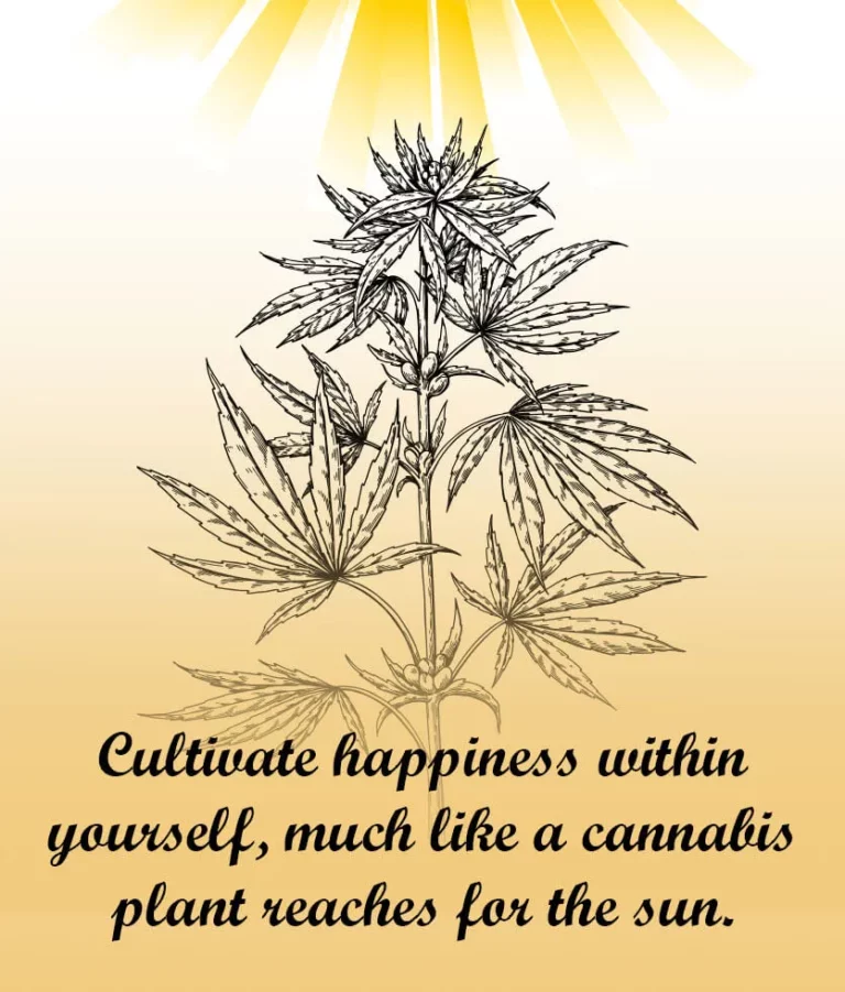 Cultivate happiness within yourself