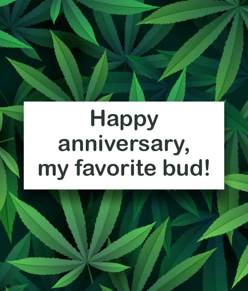 Happy Anniversary, my favorite bud