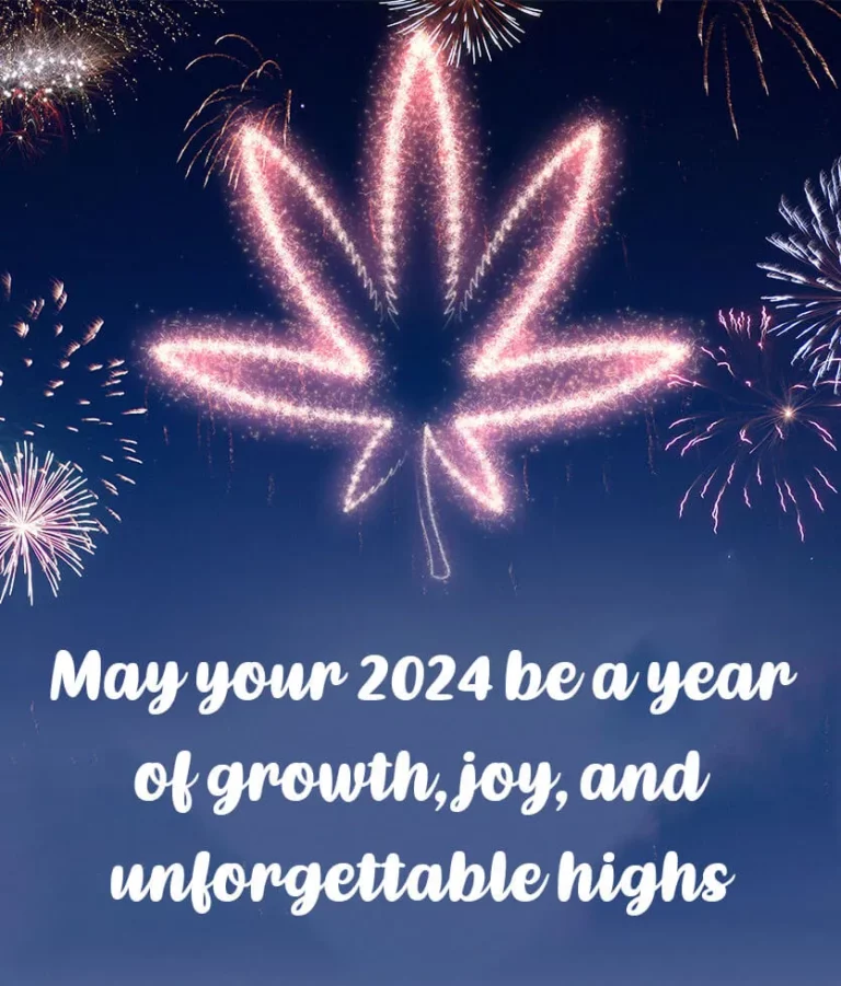 May your 2024 be a year of growth, joy and unforgettable highs