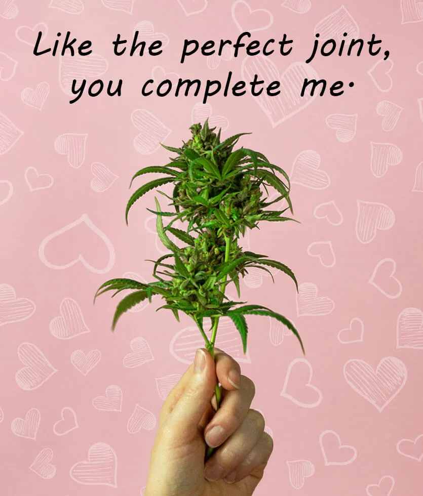 Like the perfect joint, you complete me.