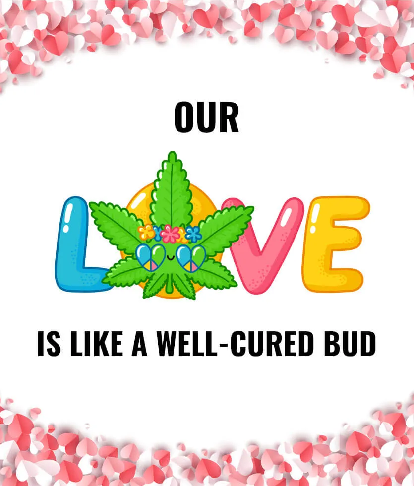 Our love is like a well-cured bud